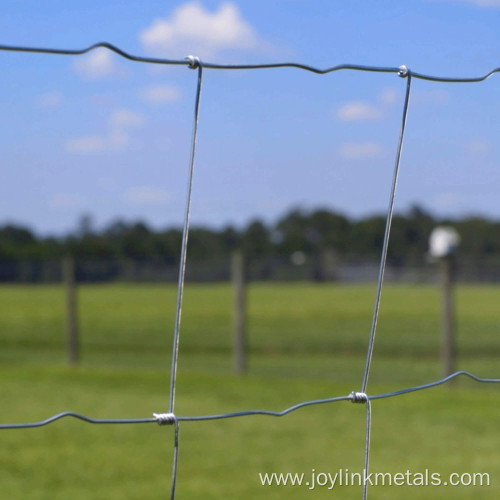 Dipped Galvanized Hinge Knot Woven Wire Field Fence